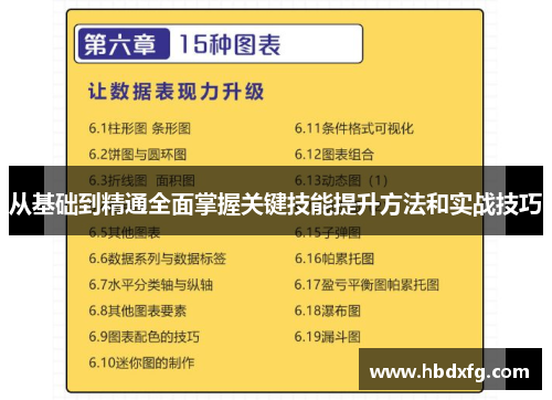 从基础到精通全面掌握关键技能提升方法和实战技巧