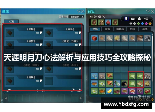 天涯明月刀心法解析与应用技巧全攻略探秘